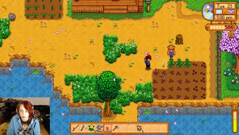 Let's Stardew This
