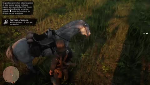 Horse Bug part1
