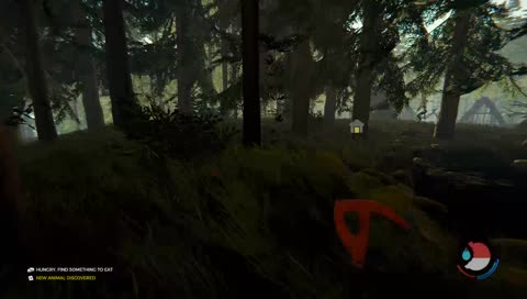 deforesting the forest