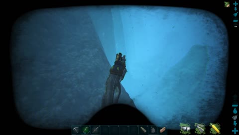 Sea diving today?