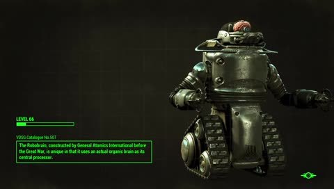 SomeRandom Fallout 4 FInal Achievement