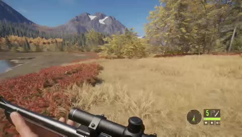 Diamond Hunting!