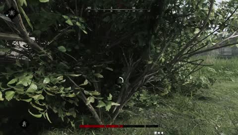 Test Yayını - Hunt: Showdown