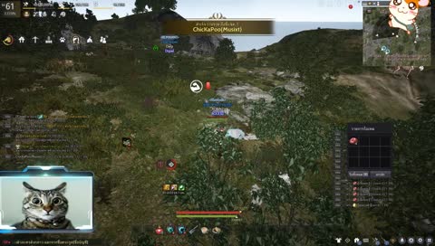 ชิวสตรีม  !gear !addon 