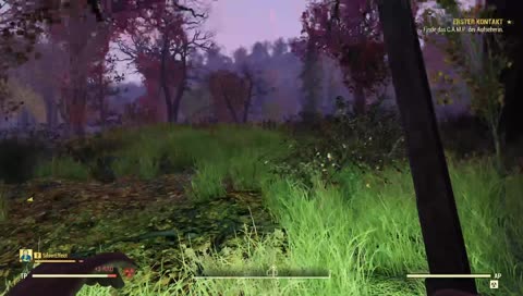 D3ZzSkUll   (Fallout 76)