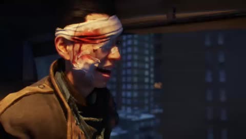 The Division