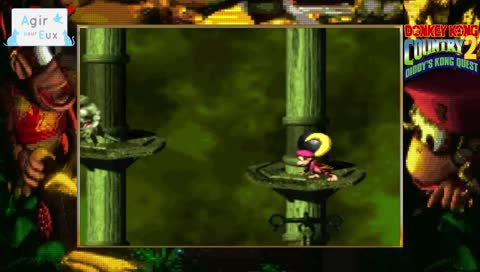 [ yygdrasil] donkey kong country 2 [ 102%] suite