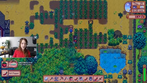 Time to bribe the town to make them love me