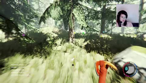 Forest suchten und dann noch etwas Horror?
