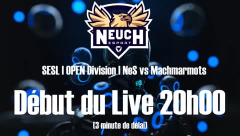 [OW] Open Division Playoff | NeS vs SIR