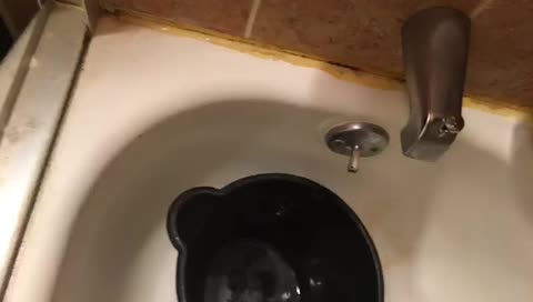 myballsich's mobile stream