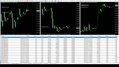 Live Forex Trading - 100% automated! $2000 deposited, $804 already withdrawn. Avg. 0,6% profit per day.