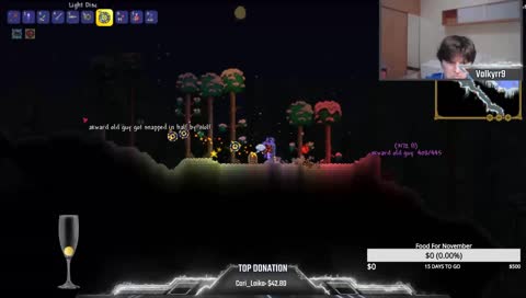 Surprise!! Back With More Terraria!!