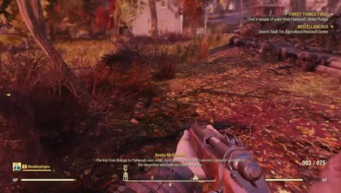 Am I Late | Fallout 76