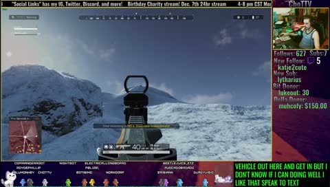 Arrrrrrrrrrrrrrrrrr Cat!!!!!!!!!!!!!!!!!