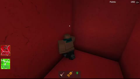 ROBLOX FUN TIME GANG