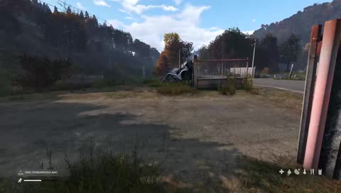 Die Welt und ich ... 