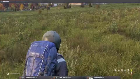 DayZ 