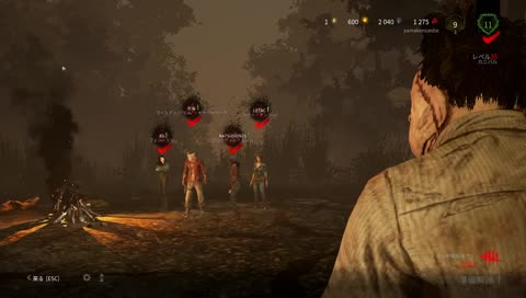 dbd