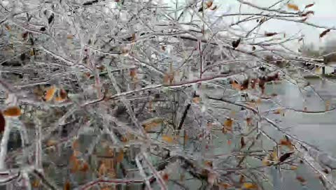 Jacob in Ohio Ice Storm 11-15-2018
