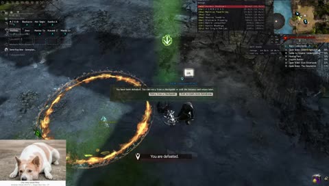 [RiT] Wing 4 memes with Nessy!