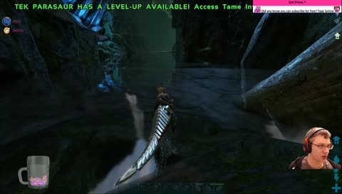 [UK/ENG] Exporificating the Ark | !humble | !itam