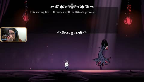 Day 14: Hollow Knight