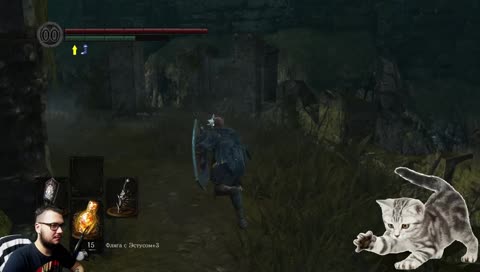 Марафон Dark Souls. День восьмой [DS: Remastered]