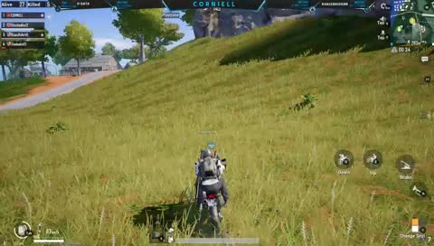 PLAYING WITH VIEWERS 