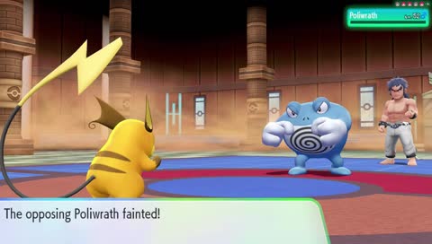 Elite 4, then Shiny Hunting!!