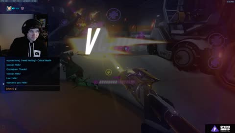 #1 Educational Stream (about bats) !batfact