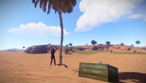 Update preview stream