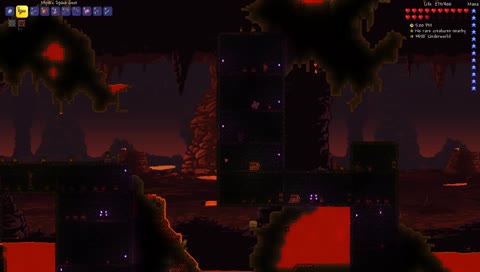 Terraria | The Perks ?