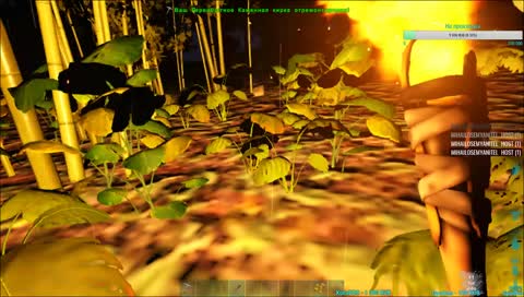 Dota  BATTLEGROUNDS  ARK