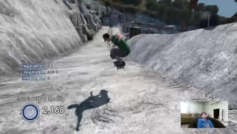 skate 3
