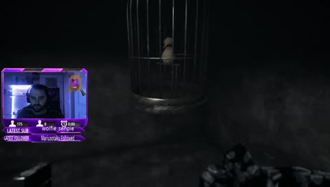 I Have No Clue what I am doing