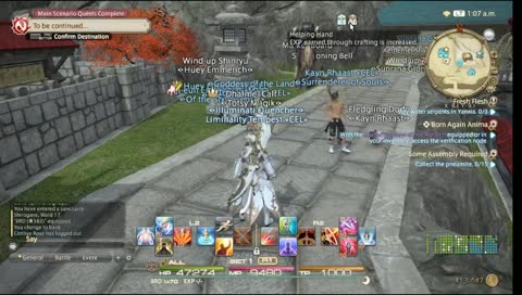 WHAT WOULD THE CAT DO TODAY MEOW 