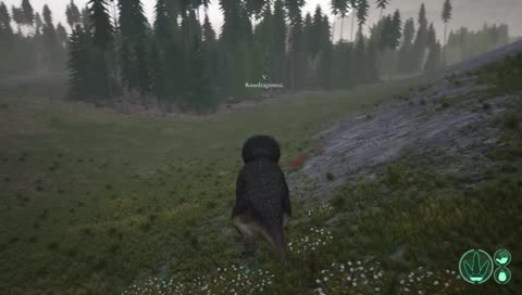 We Be Triking