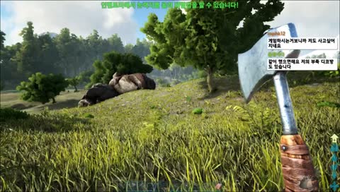 아크이볼브드 사랑니 아파 ㅠ