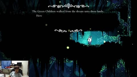 Hollow Knight! and what's gonna be next?