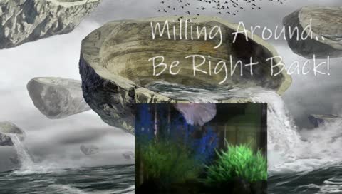 8 Rack Friday Morning Magic 