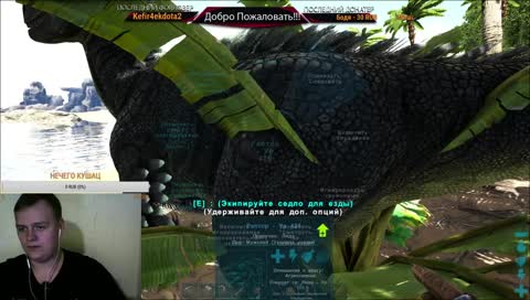 В мире подписчиков