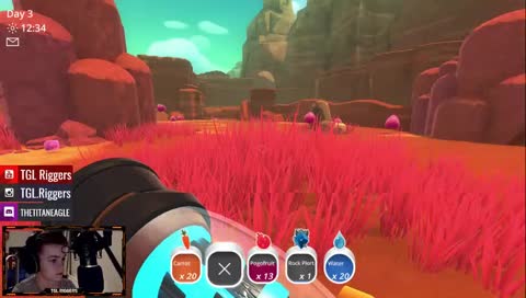 Chill ranching : New Ranch