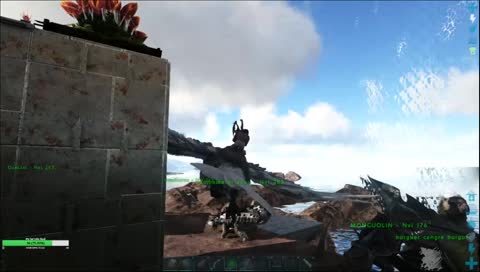 los locos de la isla