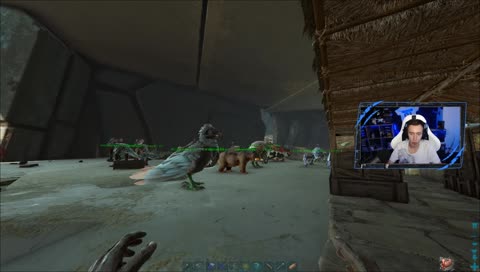 24h das suchten beginnt!