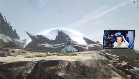 24h das suchten beginnt!