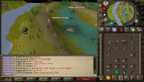 HCIM Quests done poorly