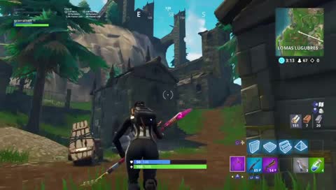 Unos Fortnites