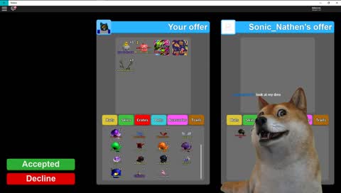 HYPE HYPE HYPE | PLAYING WITH FOLLOWERS