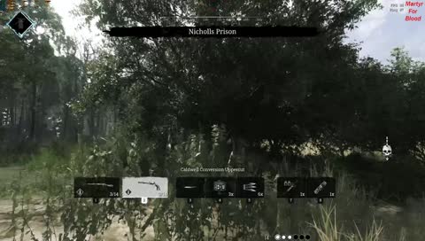 Hunt: Showdown / MonitorZero